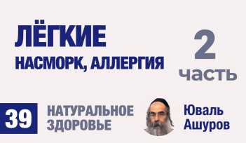 Натуральное здоровье. Видео лекции рав Ашуров. Легкие, насморк, аллергия. Причины болезней. Раввин Ашуров Юваль