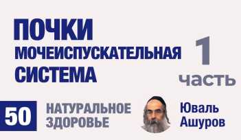 Натуральное здоровье. Видео лекции рав Ашуров. Почки, мочеиспускательная система. Причины болезней. Раввин Ашуров Юваль
