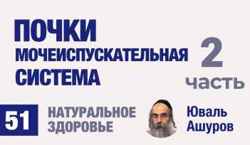 Натуральное здоровье. Видео лекции рав Ашуров. Почки, мочеиспускательная система. Причины болезней. Раввин Ашуров Юваль