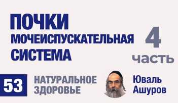 Натуральное здоровье. Видео лекции рав Ашуров. Почки, мочеиспускательная система. Причины болезней. Раввин Ашуров Юваль