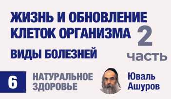Натуральное здоровье. Видео лекции рав Ашуров. Обновление организма. Причины болезней. Раввин Ашуров Юваль