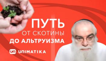 От скотства к человечности. Муж и жена